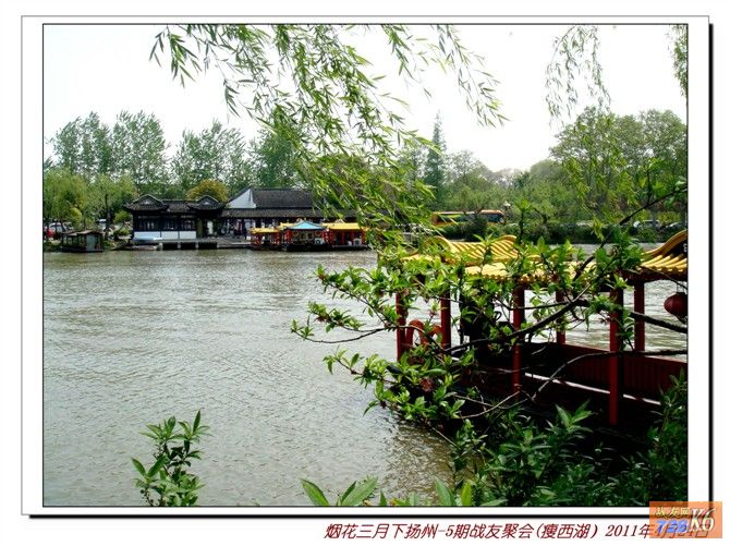 点击在新窗口查看原始图片